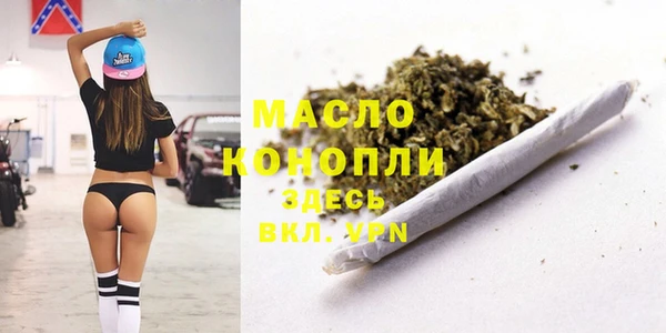 гидра Верхний Тагил