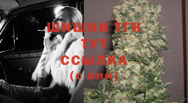 гидра Верхний Тагил