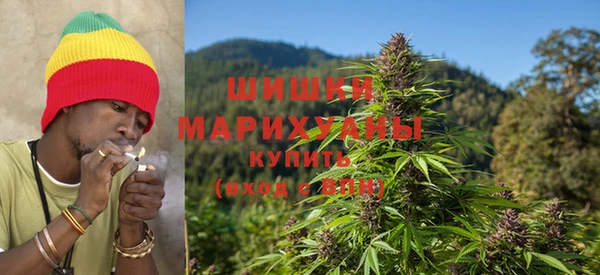 гидра Верхний Тагил