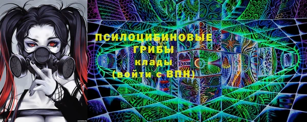 дурь Бронницы