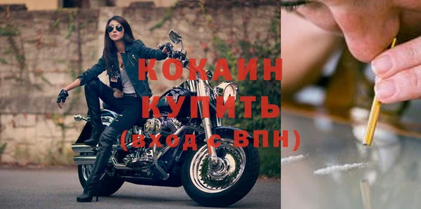 гашик Верея