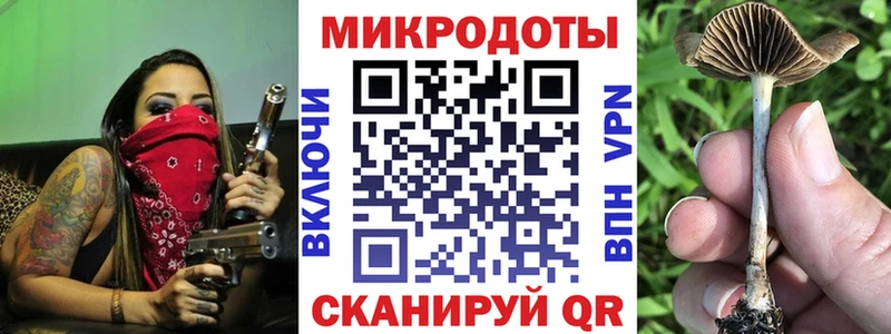 наркотики  Гдов  Галлюциногенные грибы Psilocybe 